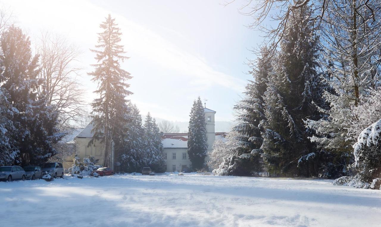 Zamek Na Skale Hotel Тшебешовице Екстериор снимка